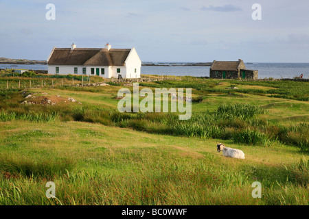 Cottage con tetto in paglia in vicino Ballyconneely Roundstone in Connemara, Irlanda Foto Stock