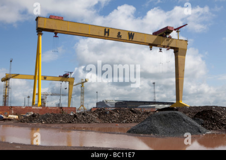 Sansone e Golia in Harland Wolff Shipyard, Queen's Island, Belfast, Irlanda del Nord, Regno Unito Foto Stock