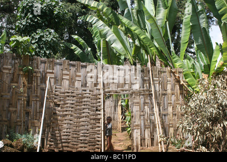 Africa Etiopia Omo regione Chencha bambini Dorze village Foto Stock