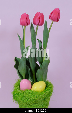 Tulipani e uova di Pasqua nel contenitore in fibra Foto Stock