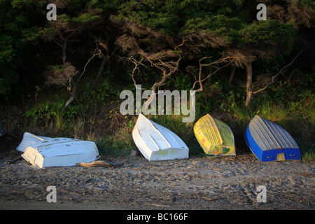 Gommoni colorati sulla spiaggia Foto Stock