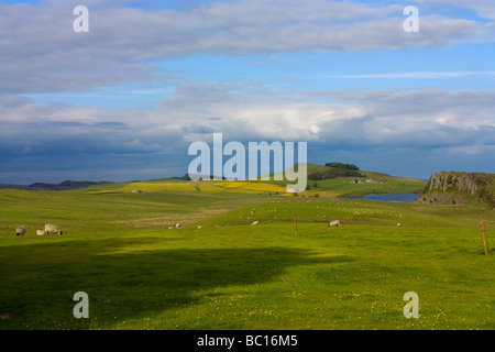 Vista verso est verso cragg lough da acciaio rigg sulla parete di Adriano Foto Stock