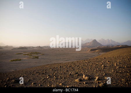 Panorama attraverso il deserto piano nella mattina presto luce distante gamme della montagna, il Deserto Orientale dell Egitto, Africa Foto Stock