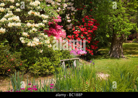 Exbury ornamentali Giardini Botanici in Hampshire, Regno Unito Foto Stock