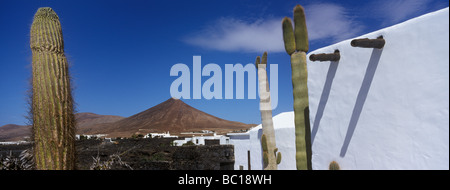 Spagna Isole Canarie Lanzarote Island, Teguise, Taro de Tahiche, Cesar Manrique Fondazione nella ex artista della casa, giardino Foto Stock