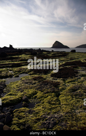 Duntulm Bay, Isola di Skye, Ebridi Interne, costa ovest della Scozia, Regno Unito Foto Stock