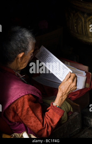 Anziani monaco buddista di preghiere di lettura: a Tso-Pema Ogyen Heru-kai Nyingmapa Gompa (monastero). Rewalsar. Himachal Pradesh. India Foto Stock