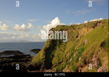 Il fiore coperto scogliere a Roonagh Harbour dove il traghetto per Clare Island esce dall'Irlanda Foto Stock