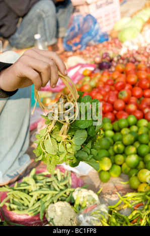 Un fascio di menta fresca a capriate con bambù su un mercato in stallo il Laos Foto Stock