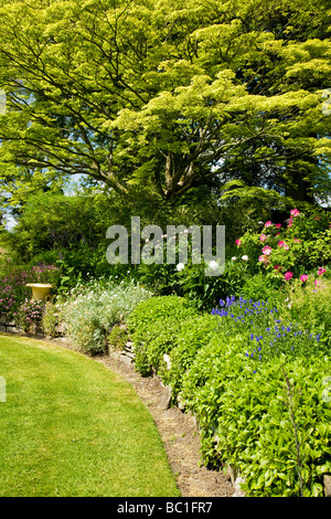 Confine erbacee al Giardino Broadleas Devizes Wiltshire, Inghilterra REGNO UNITO Foto Stock