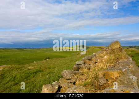 Vista verso est verso cragg lough da acciaio rigg milecastle over 39 sulla parete di Adriano Foto Stock