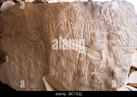 Rock-arte nel Deserto Orientale dell Egitto, Nord Africa Foto Stock