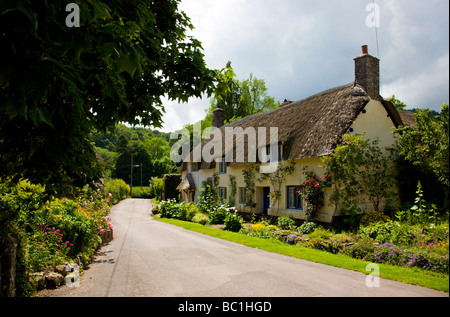 Cottage con il tetto di paglia Dunster Somerset England Regno Unito Foto Stock