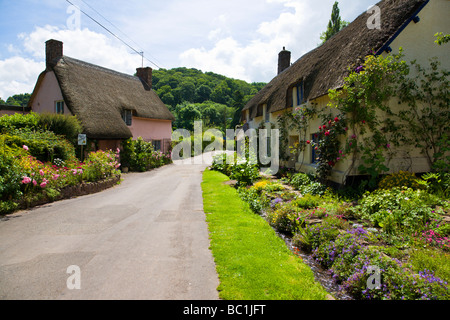 Cottage con il tetto di paglia Dunster Somerset England Regno Unito Foto Stock