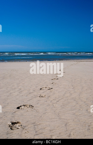 Orme che portano al mare Foto Stock