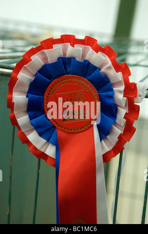 Rosoni e certificati e un animale mostra Foto Stock