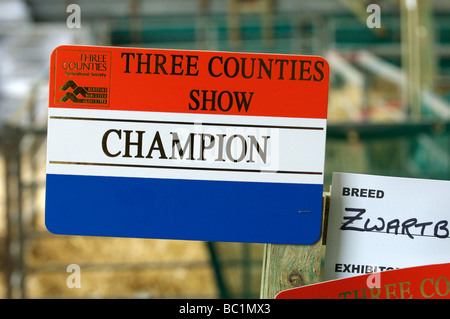 Rosoni e certificati e un animale mostra Foto Stock