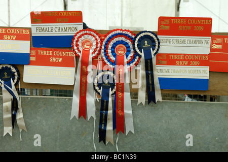 Rosoni e certificati e un animale mostra Foto Stock