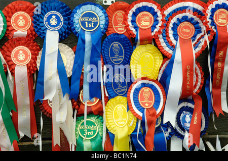 Rosoni e certificati e un animale mostra Foto Stock