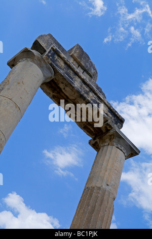 Rovine dell'Agorà antica greca e romana città sull'isola greca di Kos nel Dodecanneso catena Foto Stock