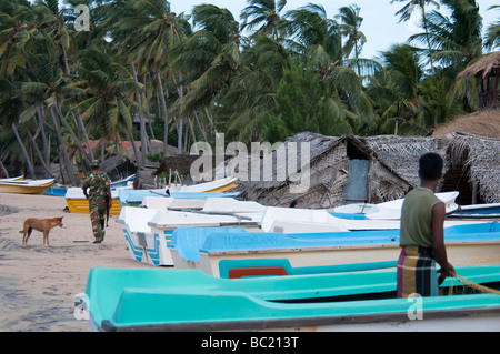 Arugam Bay Sri Lanka fisherman lavorando sulla spiaggia soldato armato camminando accanto a barche di palme di capanne di pescatori cabanas cane Foto Stock