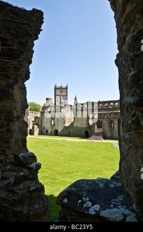 Rovine del Palazzo del Vescovo a St Davids, Pembrokeshire Foto Stock