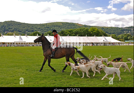 Huntsman e segugi a tre contee Show, Great Malvern, Regno Unito Foto Stock