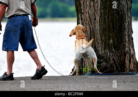 Un uomo cammina il suo cane. Il cane si ferma ad annusare un albero vicino a un lago. Stati Uniti d'America. Foto Stock