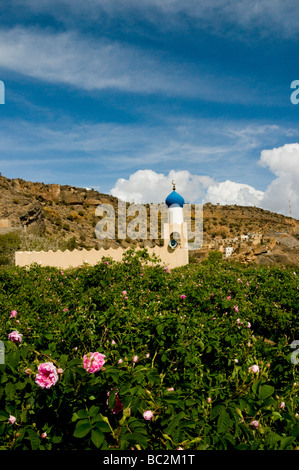 Moschea nel villaggio di Jabal el Akhdar, Al Dakhiliyah regione Sultanato di Oman Foto Stock