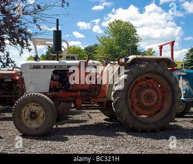 Un David Brown 885 Vintage trattore Foto Stock