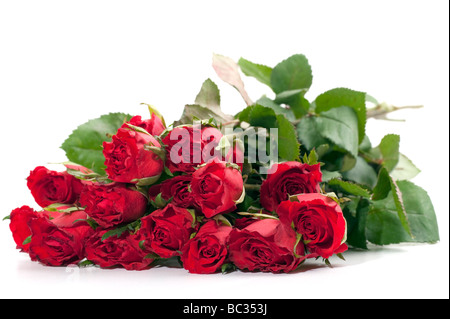 Mazzo di rose rosse gemme rose Foto Stock