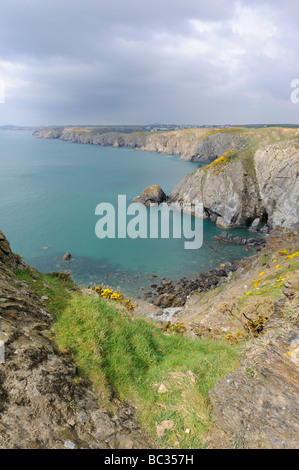 Viste dal Il Pembrokeshire Coast path vicino a Solva, Wales, Regno Unito Foto Stock