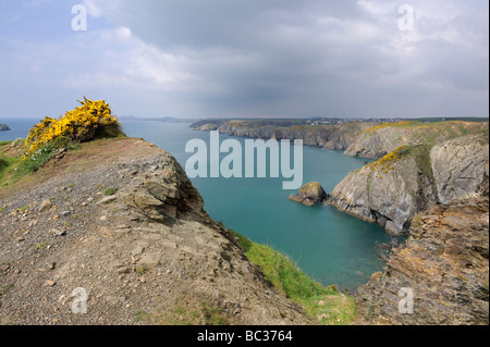 Viste dal Il Pembrokeshire Coast path vicino a Solva, Wales, Regno Unito Foto Stock