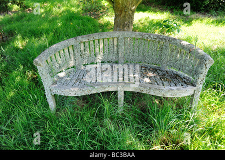 Sedile con i licheni nel Giardino Inglese nel Somerset, Regno Unito Foto Stock