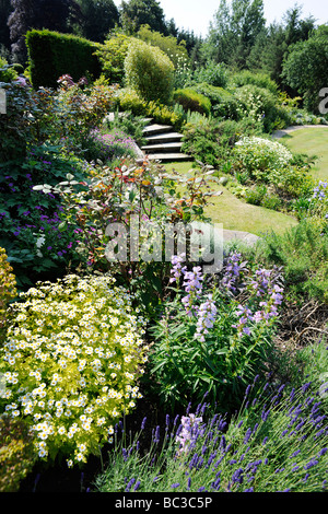 Paesaggistico Giardino Inglese nel Somerset, Regno Unito Foto Stock