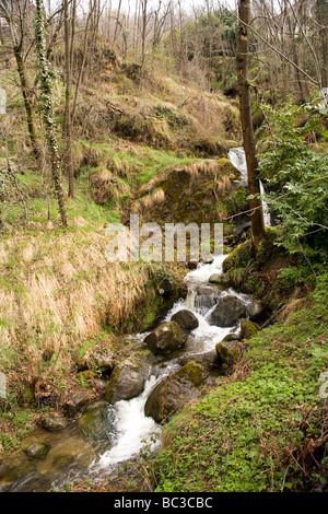 Piccolo torrente affluente che scorre attraverso una collina boscosa con rocce e alberi ricoperti di muschio. Foto Stock