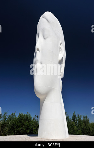 'Dream', (dettaglio), scultura all'aperto di Jaume da Plensa a. Sutton Manor, St.Helens, Merseyside England, Regno Unito, Europa. Foto Stock