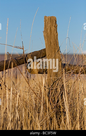 Lone palo da recinzione in un ranch in Colorado Foto Stock