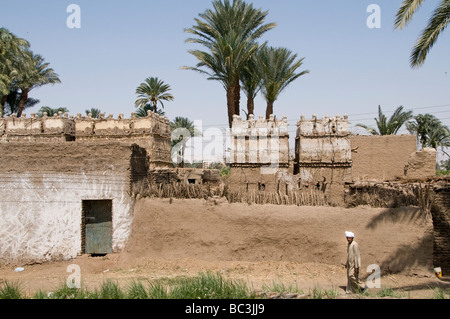 Fiume Nilo in Egitto Agriturismo agricoltore agricoltura campo vecchio villaggio sul Nilo Foto Stock