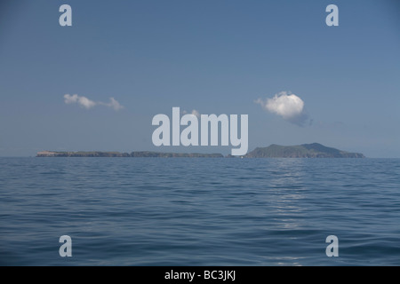 Il Parco Nazionale delle Channel Islands Anacapa Island Foto Stock