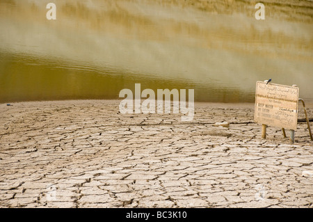 Asciugata Wadi in Oman Foto Stock