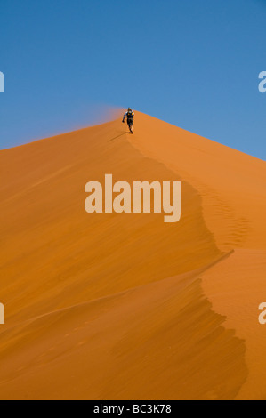 Scalatore sulla bella sabbia paesaggio di dune del Sossusvlei Parco Nazionale in Nambia Foto Stock