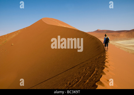 Scalatore sulla bella sabbia paesaggio di dune del Sossusvlei Parco Nazionale in Nambia Foto Stock