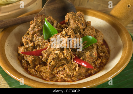 Rendang Indonesia Malaysia cibo Foto Stock