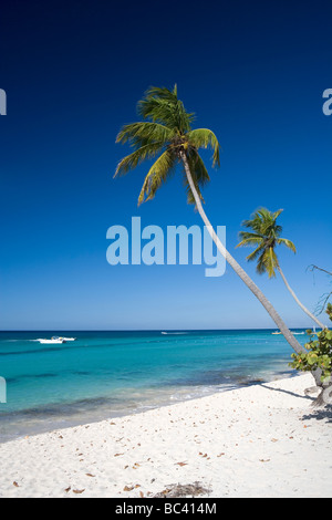 Repubblica Dominicana - Costa Est - Bayahibe Foto Stock