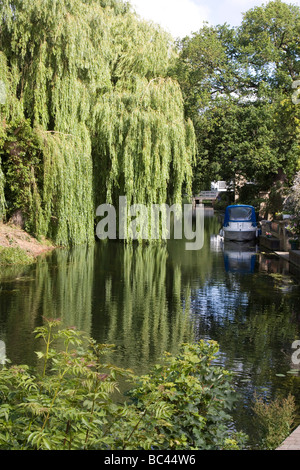 Villaggio Godmanchester Huntingdonshire distretto di Cambridgeshire England Regno Unito GB Foto Stock