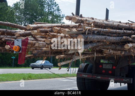 18 wheeler lo spostamento di un carico di tronchi in giù in autostrada in Florida Foto Stock