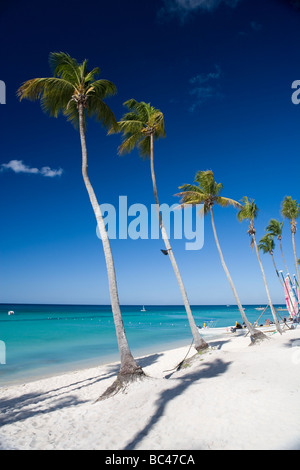 Repubblica Dominicana - Costa Est - Bayahibe Foto Stock