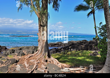 Hawaii spiaggia vicino Hilo Foto Stock