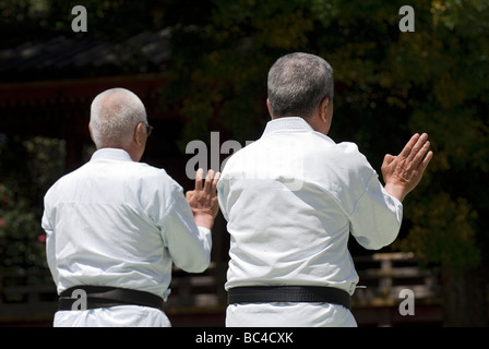 Due alti uomini che indossano dogi e cinture nere a colpire il karate open-palm pongono durante un arti marziali dimostrazione a Kyoto in Giappone Foto Stock